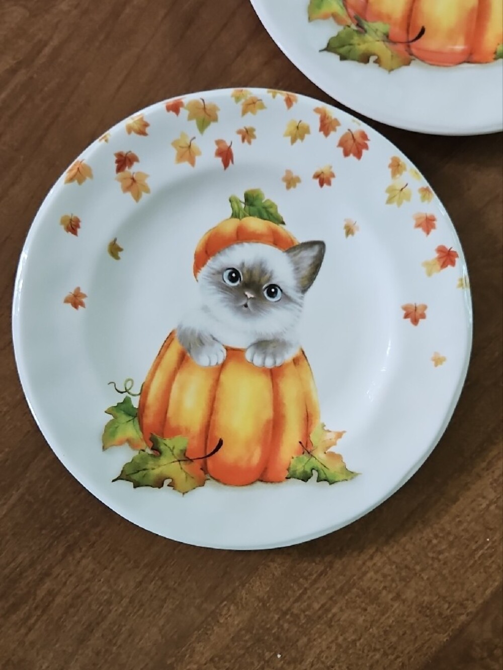 Pier 1 Cat in a Pumpkin Fall Salad/Lunxh Plates 8.5" - Set of 2 - Picture 6 of 9